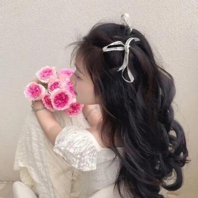 隐形姐妹